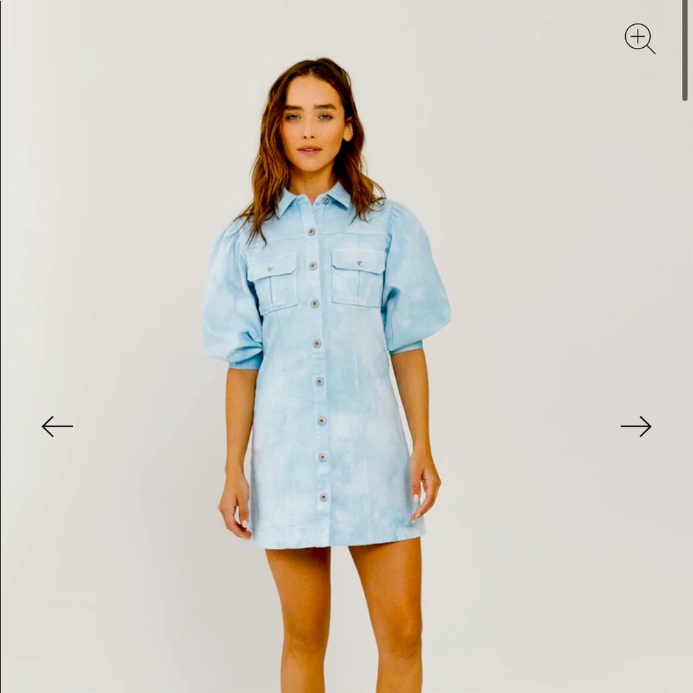 Something Navy Eleanor Buttondown Dress